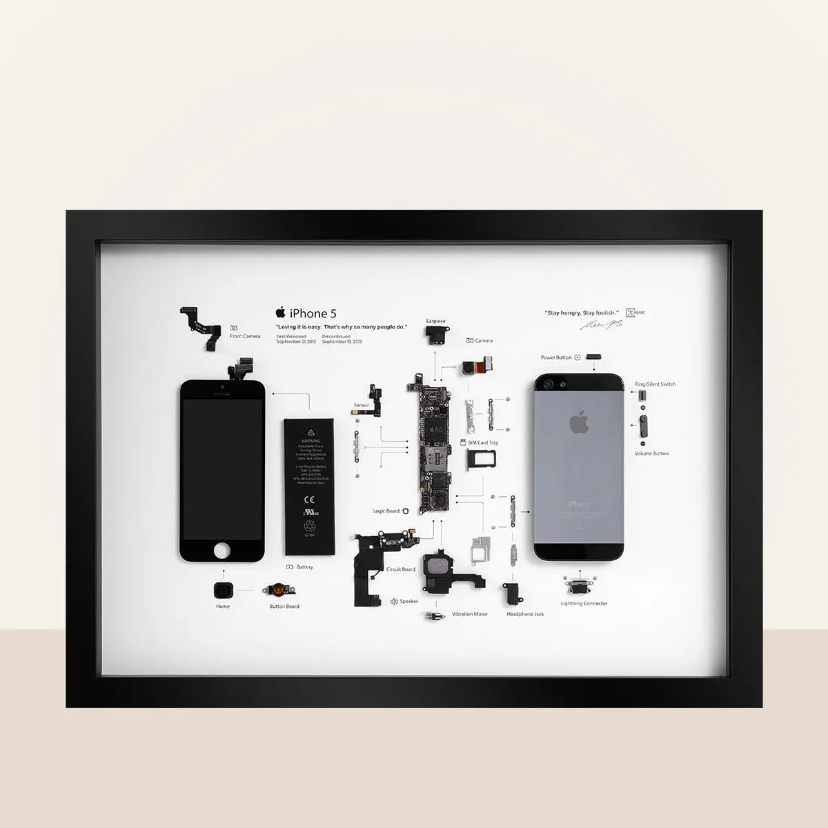 iPhone - 5